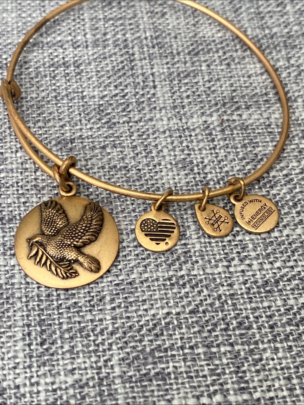 Alex and Ani Antique Gold Eagle Charm Bangle - Picture 2 of 3